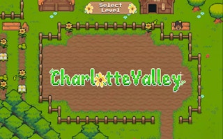 Image Charlotte Valley