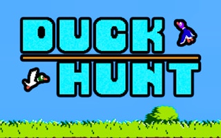 Image Duckhunt