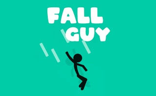 Image Fall Guy