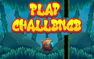 Image Flap Challenge