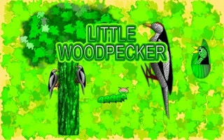 Image Little Woodpecker