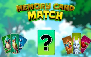 Image Memory Card Match