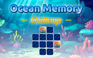 Image Ocean Memory Challenge